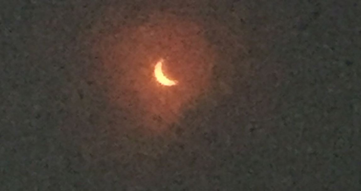 The partial solar eclipse, 20th March 2015 - photograph by Christiana Lloyd